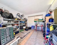 Reventa - Finca - Alicante - Dolores