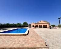 Reventa - Finca - Alicante - Dolores