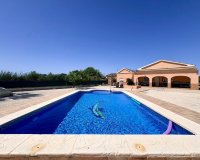 Reventa - Finca - Alicante - Dolores