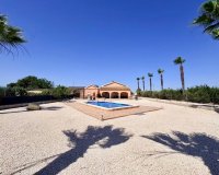Reventa - Finca - Alicante - Dolores