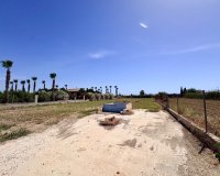 Reventa - Finca - Alicante - Dolores