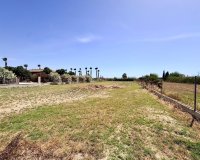 Reventa - Finca - Alicante - Dolores
