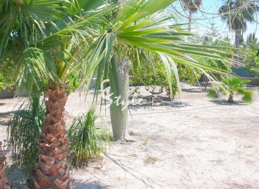 Reventa - Finca - Alicante - Dolores
