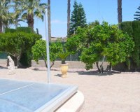 Reventa - Finca - Alicante - Dolores
