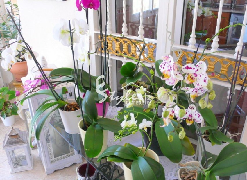 Reventa - Finca - Alicante - Dolores