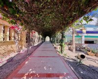 Reventa - Finca - Ciudad Quesada - La Marina