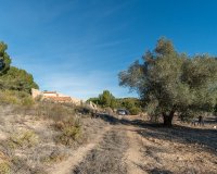 Reventa - Finca Country Property - Pilar de la Horadada - Pinar de la Perdiz