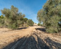 Reventa - Finca Country Property - Pilar de la Horadada - Pinar de la Perdiz