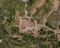 Reventa - Finca - Felanitx - Mallorca