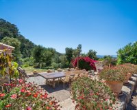 Reventa - Finca - Felanitx - Mallorca