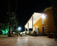 Reventa - Finca - Orihuela-Costa - Orihuela