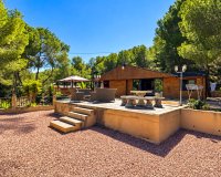 Reventa - Finca - San Miguel De Salinas - Costa Blanca Sur