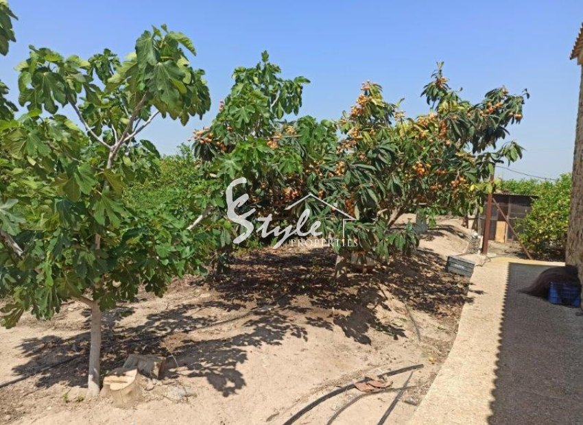 Reventa - Finca - San Miguel De Salinas