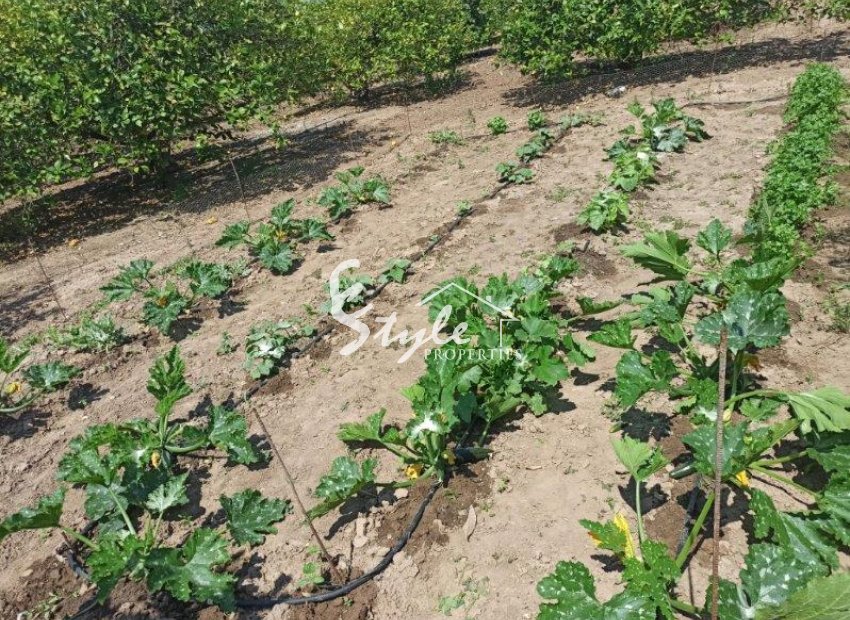 Reventa - Finca - San Miguel De Salinas
