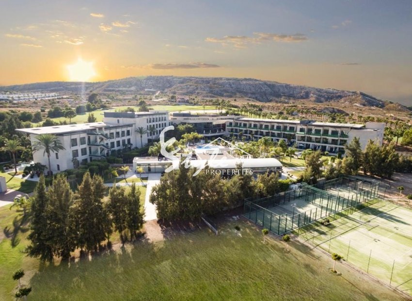 Reventa - Parcela - Algorfa (montemar) - Algorfa