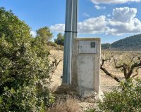 Reventa - Parcela - Bullas - Costa Cálida