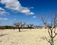 Reventa - Parcela - Murcia - Costa Cálida