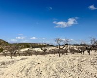 Reventa - Parcela - Murcia - Costa Cálida