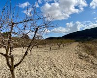 Reventa - Parcela - Murcia - Costa Cálida