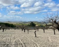 Reventa - Parcela - Murcia - Costa Cálida