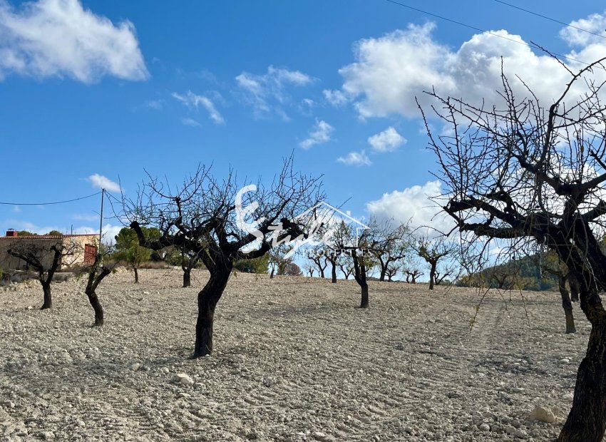 Reventa - Parcela - Murcia - Costa Cálida