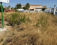 Reventa - Parcela - Orihuela-Costa - La Regia