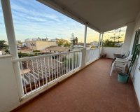 Reventa - Parcela - Palma de Mallorca - Mallorca