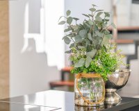 Reventa - Villa - Ciudad Quesada - Lo pepin