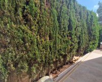 Reventa - Villa - Las Ramblas Golf - Las Ramblas