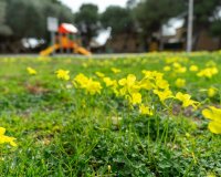 Reventa - Villa - Los Altos