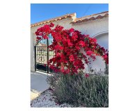 Reventa - Villa - Torrevieja - San luis