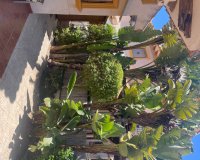 Reventa - Villa - Villamartín - La Regia