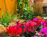 Сдается в аренду квартира с 2 спальнями, выходящая на южную сторону, в Ла Реколета, Пунта Прима, Коста Бланка. ID101