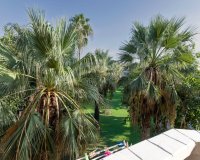 Se vende piso en la Regia, Orihuela Costa. ID2543