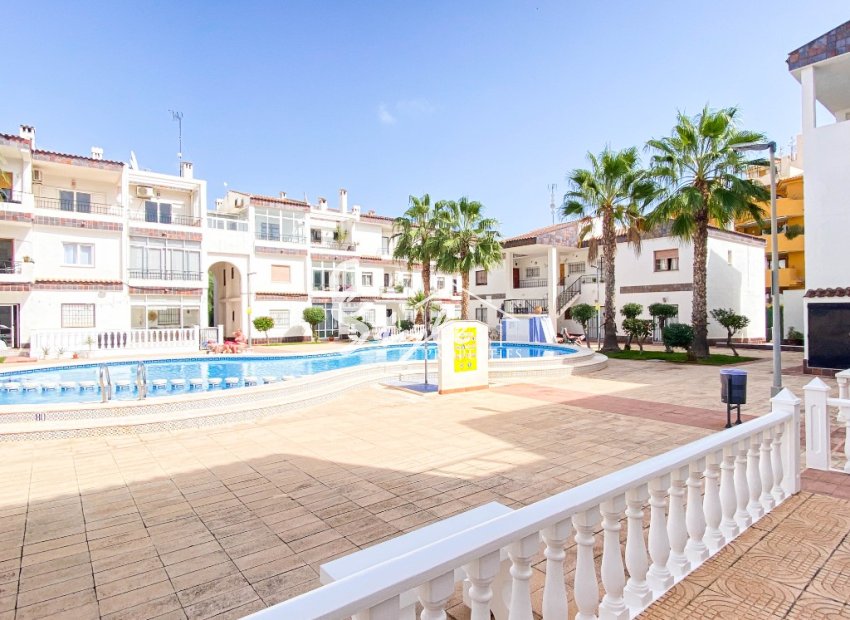Short Term Rentals - Apartament  - Punta Prima - Cala Dorada
