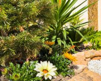 Short Term Rentals - Apartament  - Punta Prima - La Recoleta