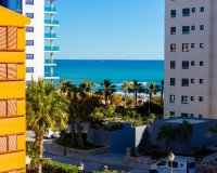 Short Term Rentals - Apartament  - Punta Prima - La Recoleta
