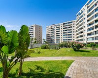Short Term Rentals - Apartament  - Punta Prima