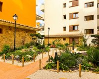 Short Term Rentals - Apartamento - Punta Prima - La Recoleta