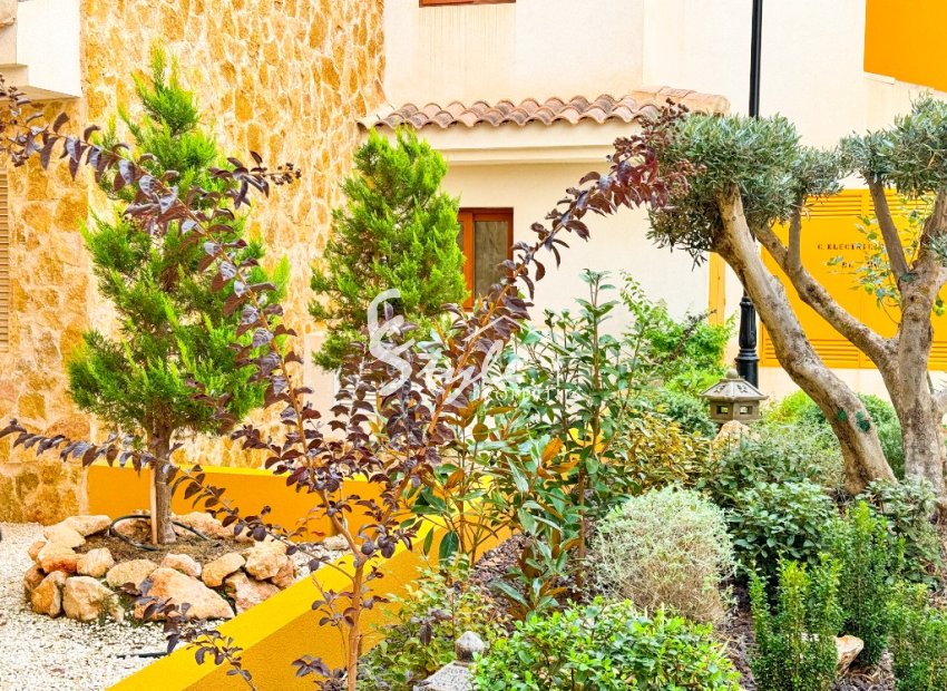 Short Term Rentals - Apartamento - Punta Prima - La Recoleta