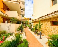 Short Term Rentals - Apartamento - Punta Prima - La Recoleta