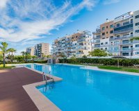 Short Term Rentals - Apartment - Mil Palmeras