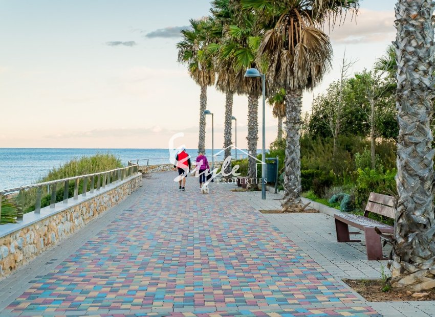 Short Term Rentals - Apartment - Mil Palmeras