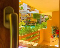 Short Term Rentals - Apartment - Punta Prima - La Recoleta