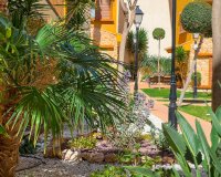 Short Term Rentals - Apartment - Punta Prima - La Recoleta