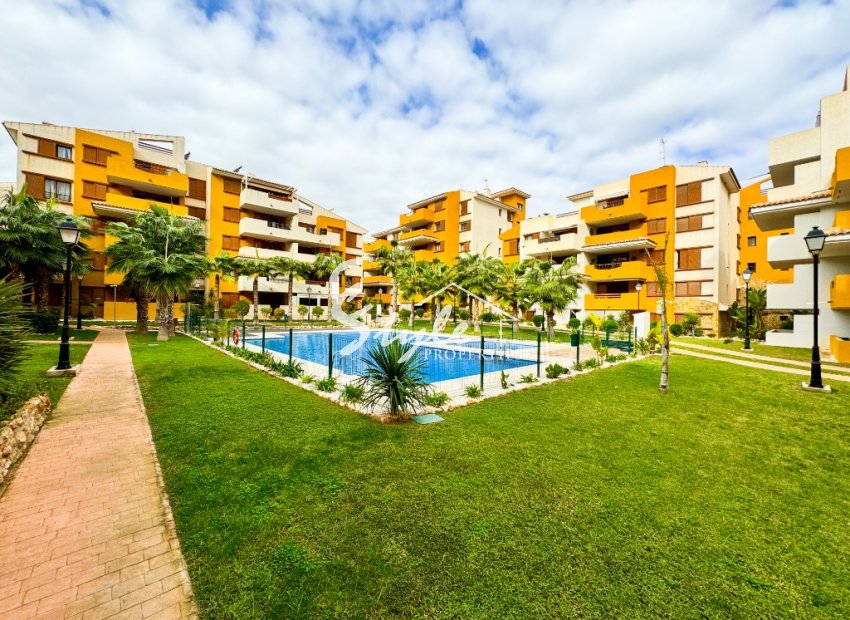 Short Term Rentals - Apartment - Punta Prima - La Recoleta