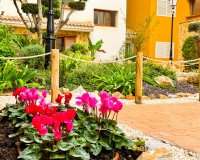 Short Term Rentals - Apartment - Punta Prima - La Recoleta