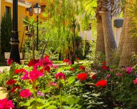 Short Term Rentals - Apartment - Punta Prima - Panorama Park