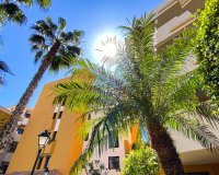 Short Term Rentals - Apartment - Punta Prima - Panorama Park