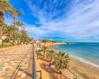 Short Term Rentals - Apartment - Punta Prima - Parque Recoleta